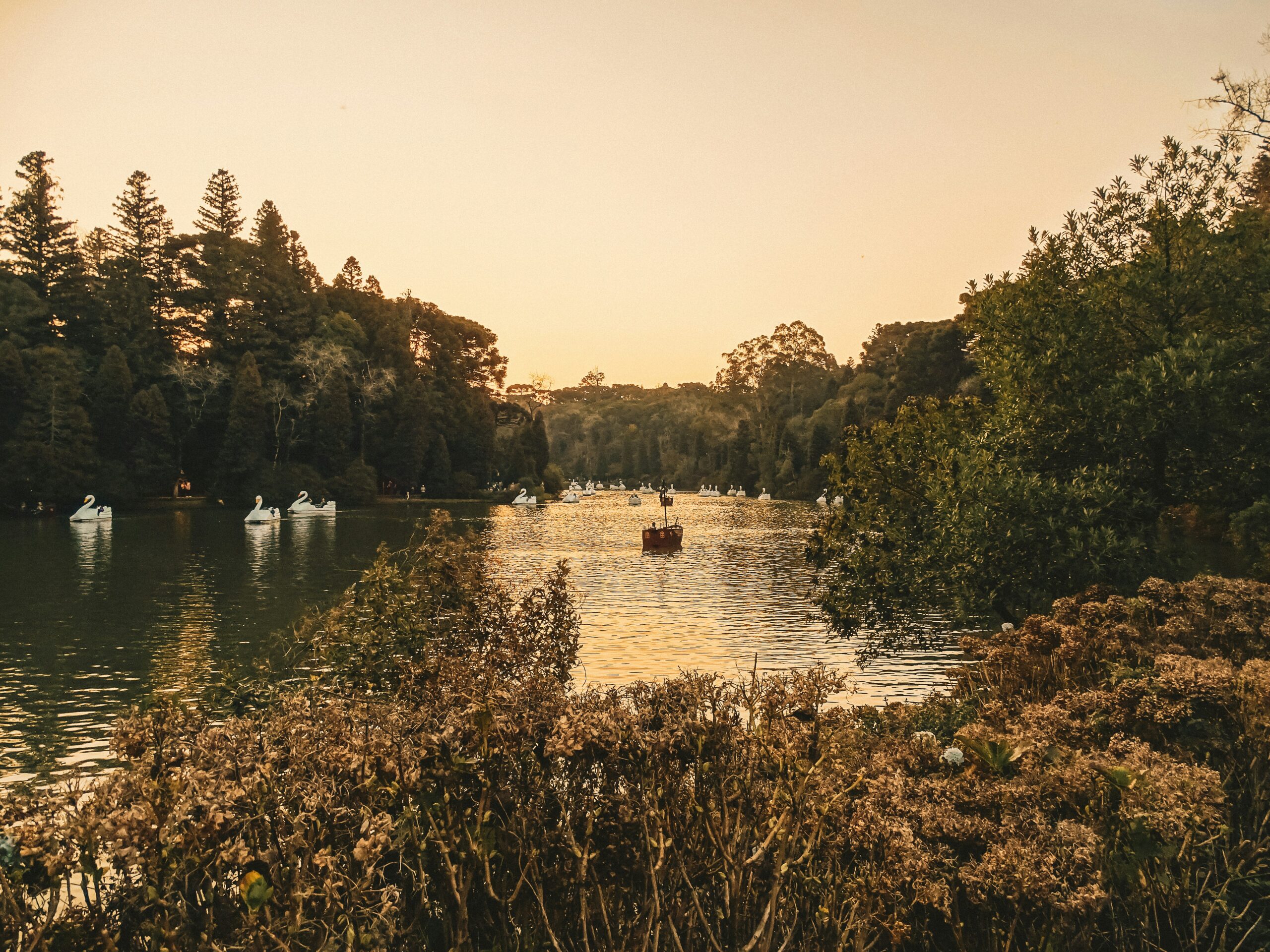 Lago Negro em Gramado Serra Gaúcha com ciprestes europeus ao entardecer