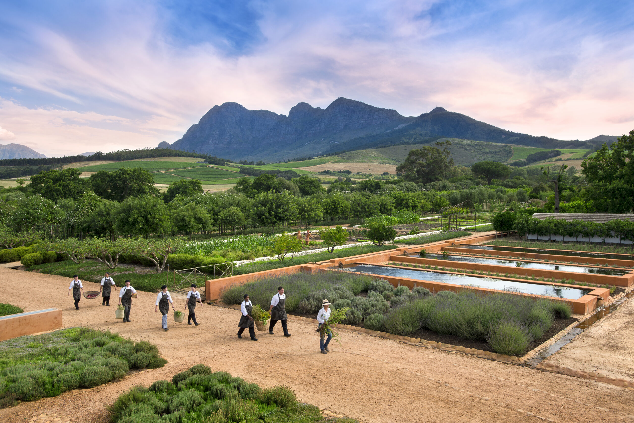 Chefs do restaurante Babel colhendo no jardim de cozinha com Monte Simonsberg ao fundo